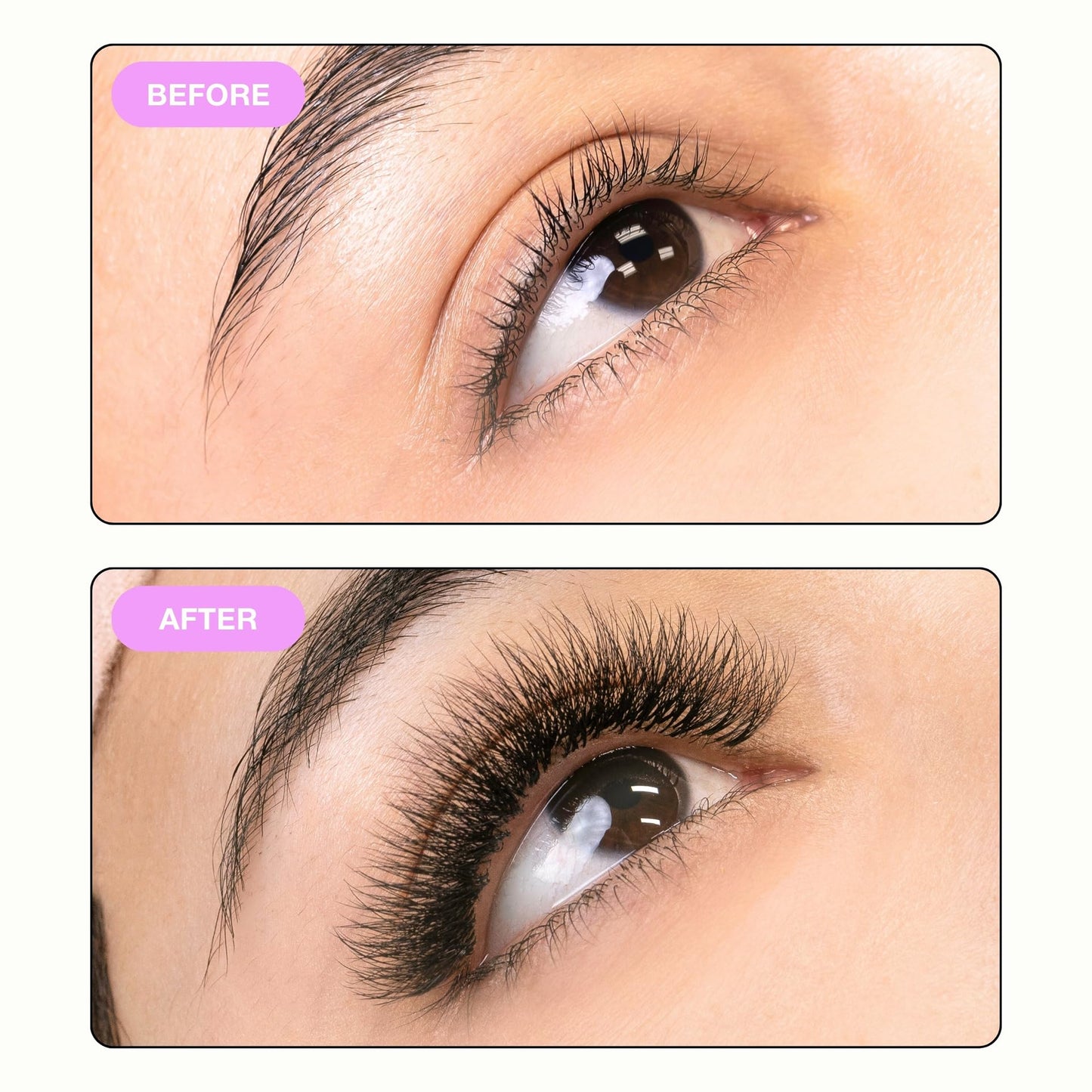 Curacoro Camellia Promade Fans - Handmade Volume Promade Eyelashes Fans 5D to 10D, C CC D Curl, Thickness 0.03~0.07mm, 7-14mm Mix Lengths, Professional Long-Lasting Promade Lash Fans