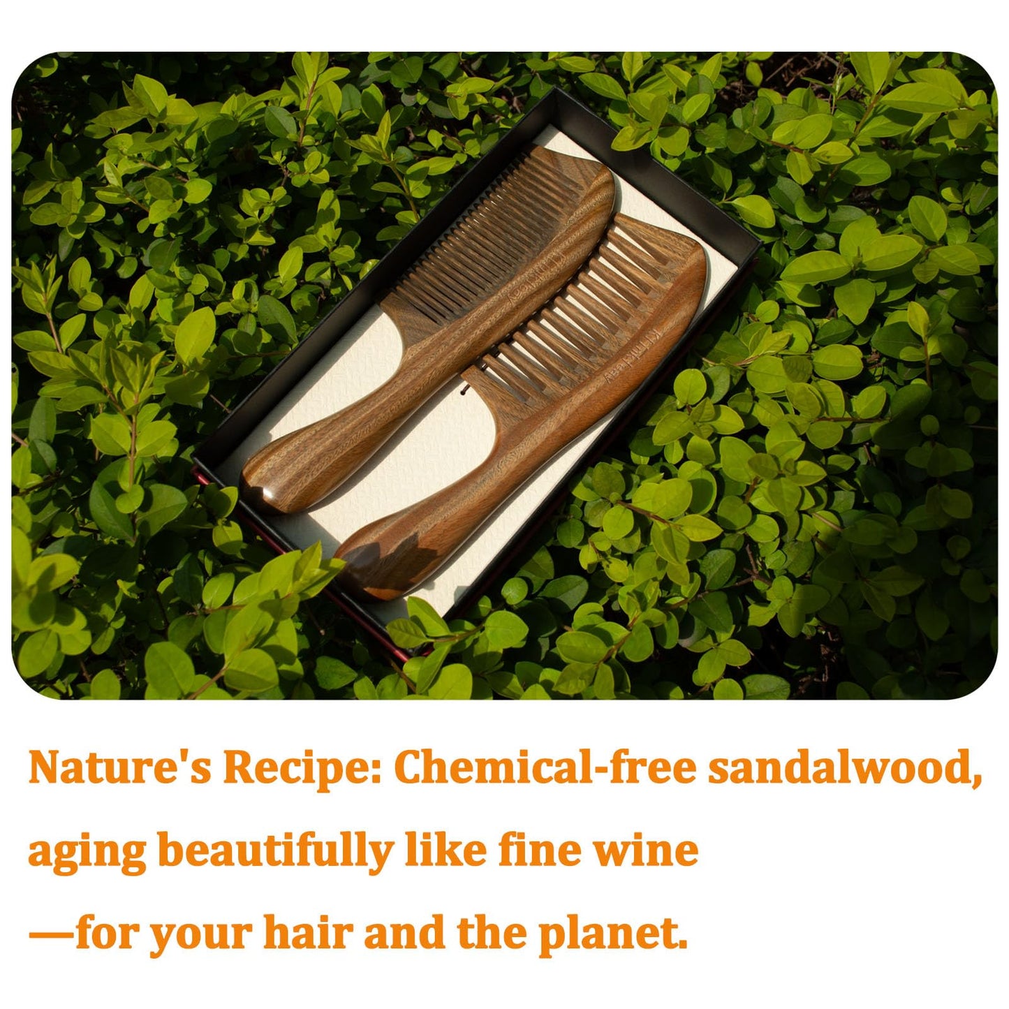 Klinkleay Sandalwood Hair Combs Set: Handmade Wooden Wide & Fine Tooth Comb for Women, Thick-Handle Anti-Static Detangling Comb for Curly/Straight Hair (Gift Box)