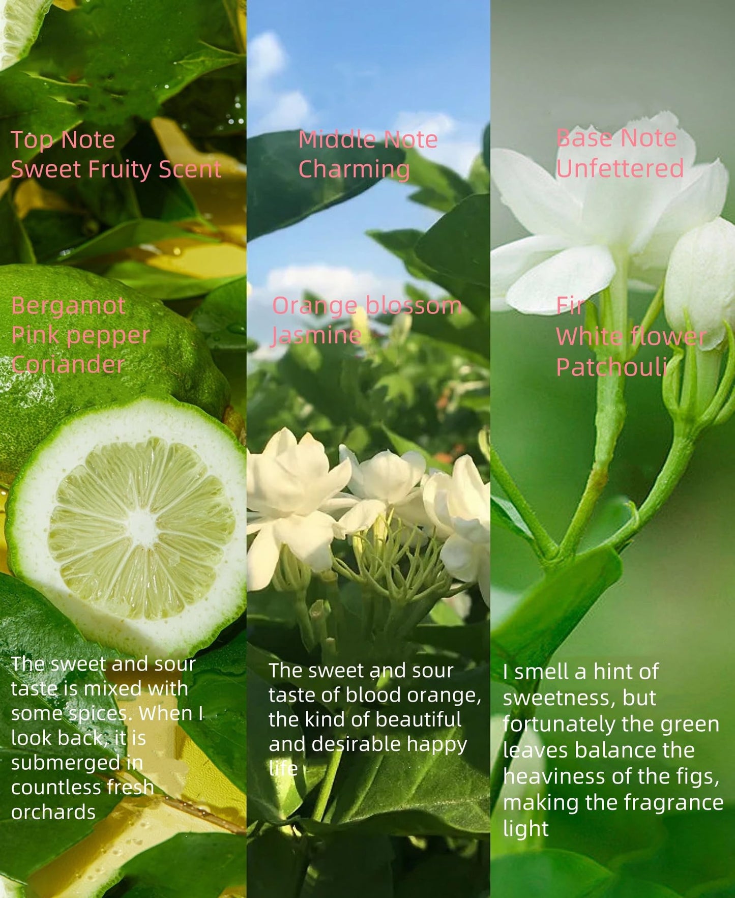 New Cover Floral & Woodsy Perfume for Women – Long-Lasting Eau de Parfum with Citrus, Fig & Moss Notes | Fresh Rainforest Scent, Day-to-Night Fragrance, Giftable Luxury