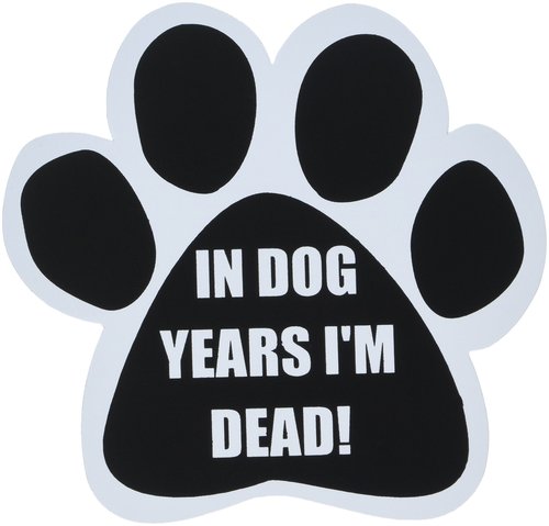 "In Dog Years I'm Dead!" Car Magnet With Unique Paw Shaped Design Measures 5.2 by 5.2 Inches Covered In UV Gloss For Weather Protection
