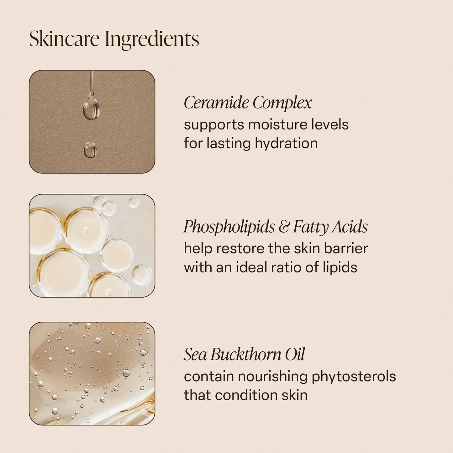 Saltair Multi-Lipid Body Butter - Rich, Nourishing Hydrating Body Cream with Ceramide Complex, Coconut Oil, Shea Butter, and Sea Buckthorn. Moisturizing Dry Skin Care. 10oz Jar - Salt Water Vanilla