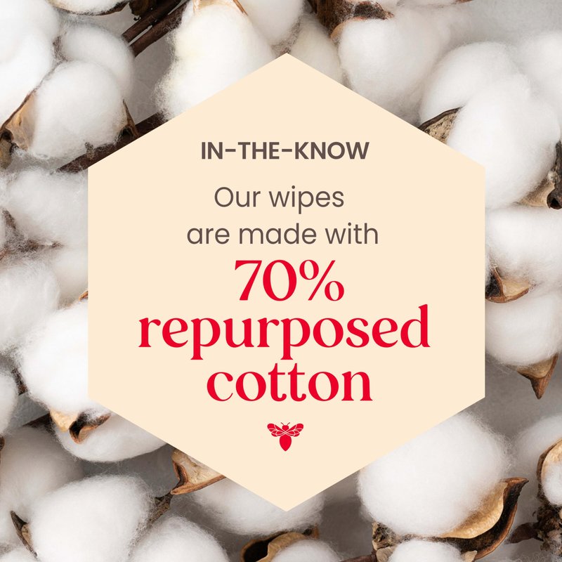 Burt's Bees Purifying Facial Towelettes With White Tea, Pre-Moistened Towelettes for All Skin Types, 99.1 Percent Natural Origin Skin Care, 10 ct. Package