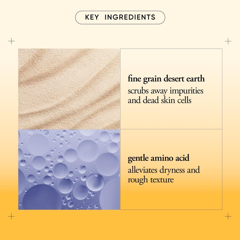 philosophy microdelivery exfoliating daily facial wash - with fine grain desert earth & gentle amino acids - scrubs away impurities & dead skin cells to alleviate dryness and rough texture