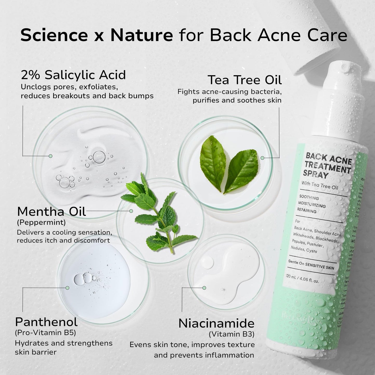 BellamiLuxx Back and Body Acne Treatment Spray: 2% Salicylic Acid & Tea Tree Oil Bacne Spray for Clear, Soothe & Moisturize - Effective for Men, Women, Teens with Back, Shoulder, Arm, and Chest Acne