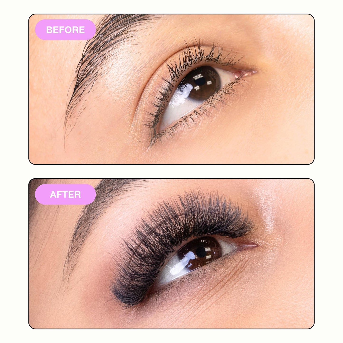 Curacoro 5D W-Shaped Clover Eyelashes Extension, 0.07 CC Curl, 8mm-15mm Length, Individual Eyelash Extensions, Easy Application & Long Lasting