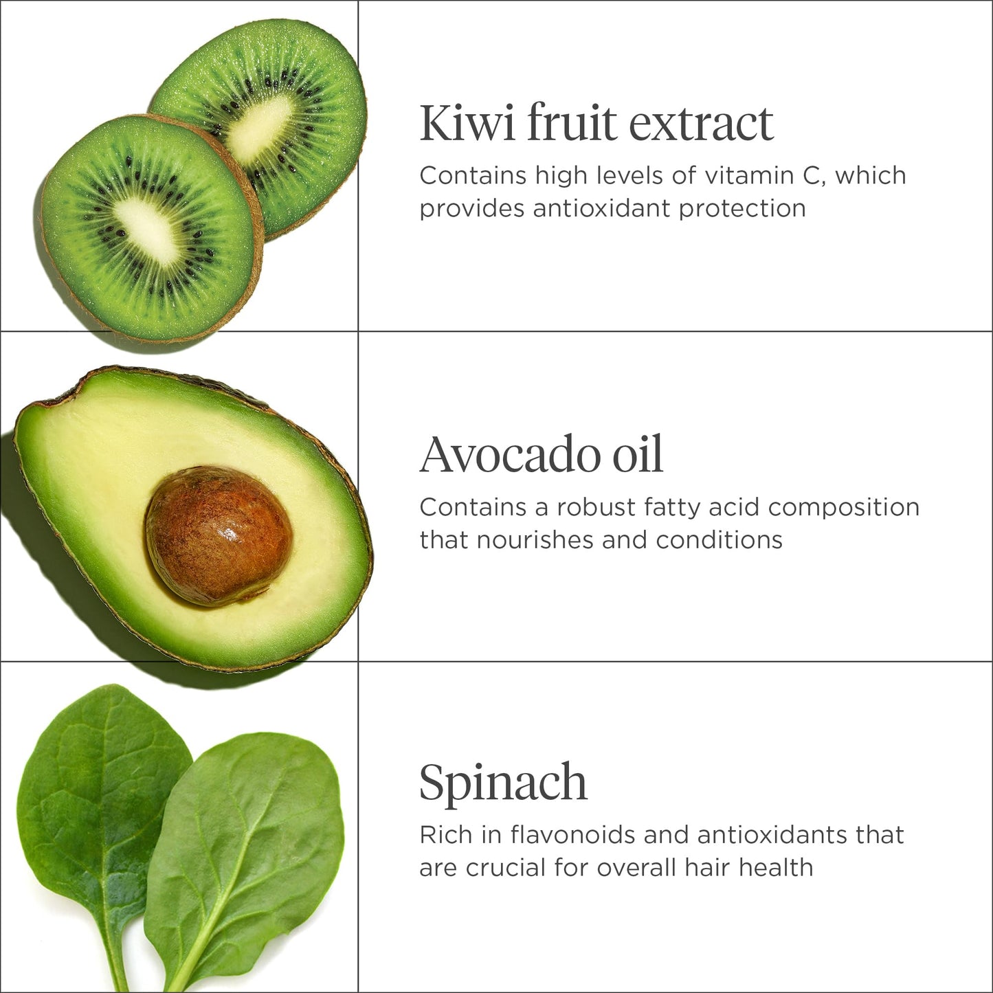 Briogeo Superfoods Avocado + Kiwi Mega Moisture Hair Mask | Protein-Free Deep Conditioning Treatment for Dry Hair| Silicone-Free | Vegan & Cruelty-Free | 8 fl oz