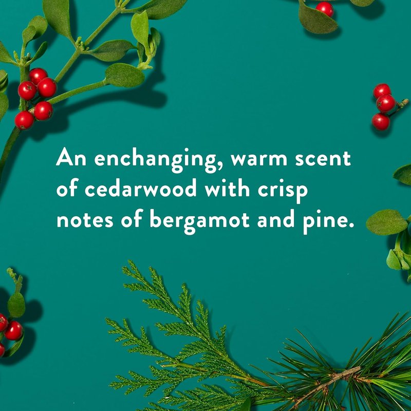 Native Deodorant - Holiday Edition Fresh Mistletoe Scent | Aluminum-Free, 72-Hour Odor Control for Men & Women