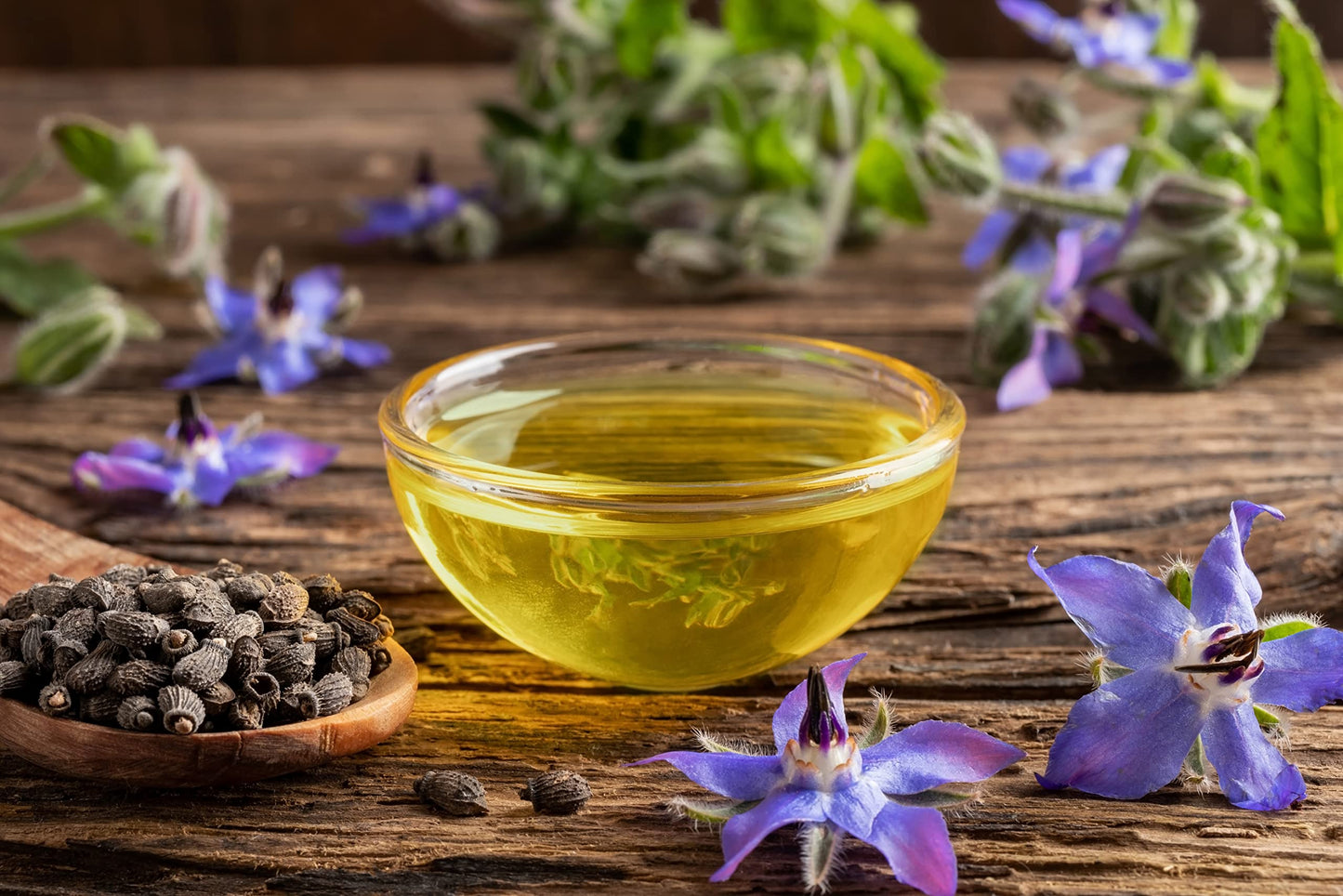 OPO Borage Seed Oil - 32 oz - Pure Unrefined Non GMO, High GLA, Bulk Natural Carrier Oil Moisturizer for Skin Hair Nails Body Soaps DIY & More - Liquid Borago Virgin Vegan