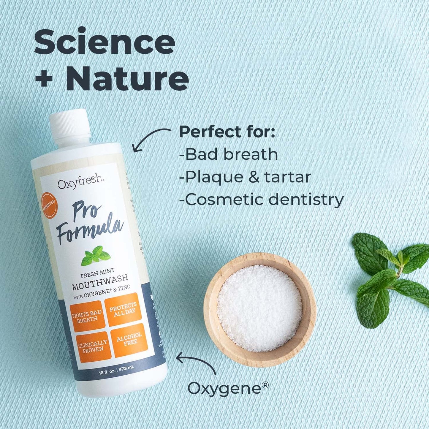Oxyfresh Pro Formula Fresh Mint Mouthwash – Patented Zinc Mouthrinse for Fresh Breath, Healthy Gums & Bad Breath Treatment for Adults - Dye, Fluoride & Alcohol Free (16 oz Pack of 3)