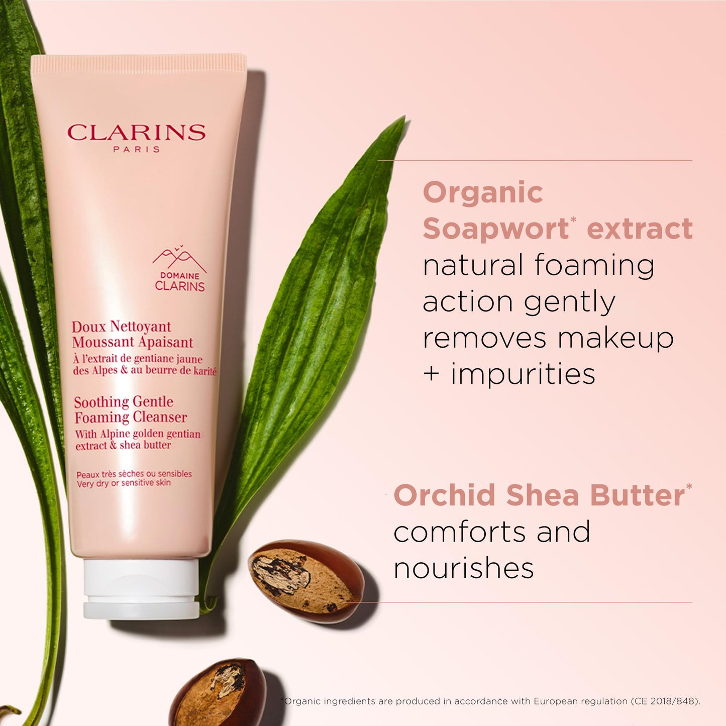 Clarins Soothing Gentle Foaming Face Cleanser | Cleanses, Soothes, and Comforts | Contains Nourishing Shea Butter | Soap-Free| SLS-Free| Very Dry or Sensitive Skin Types | 4.2 Ounces (Pack of 1)