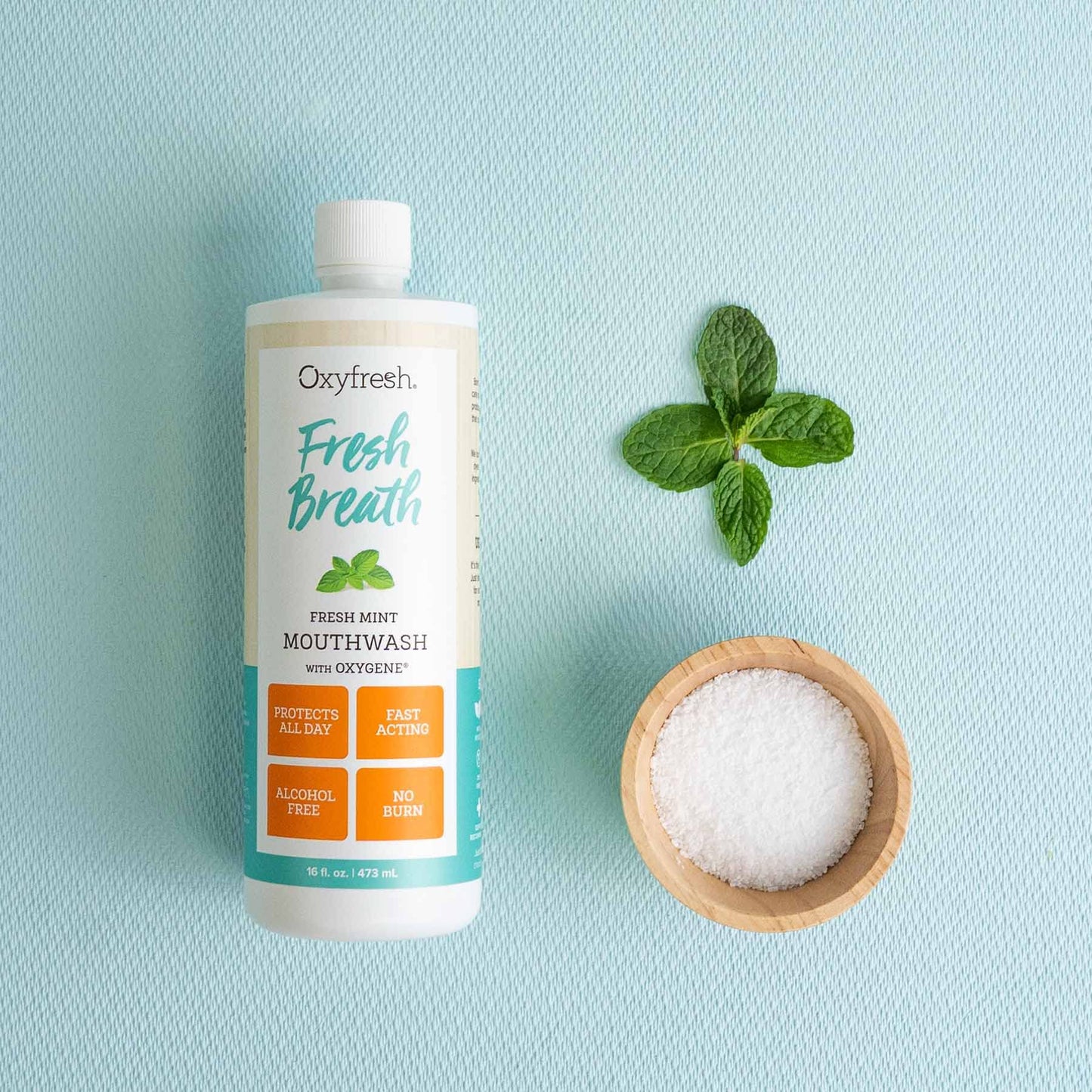 Oxyfresh Fresh Mint Flavored Mouthwash for Adults, Fresh Breath & Bad Breath Treatment – Dentist Recommended for Long - Lasting Fresher & Healthy Gums - Alcohol & Fluoride Free - 16 Fl Oz (Pack of 3)