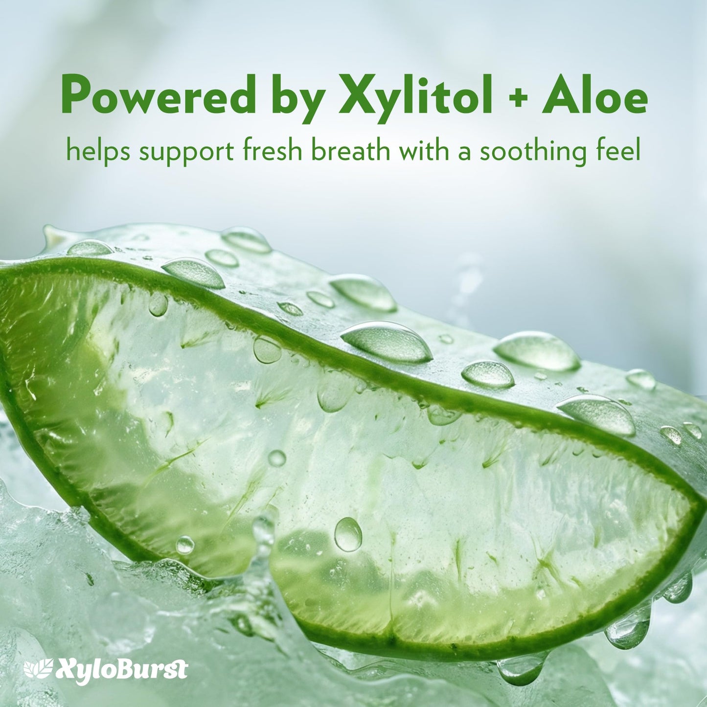 Xyloburst Xylitol Mouthwash, Natural Oral Rinse - Alcohol-Free & Fluoride-Free Mouth Wash, Non Toxic Xylitol Rinse for Fresh Breath, Fresh Mint Flavor, SLS Free, Sugar Free, 3-Pack