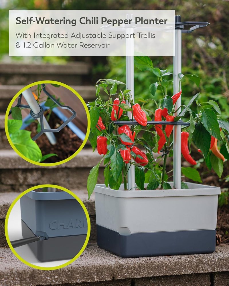 Charly Chili Self-Watering Planter with Vertical Trellis | 1.2 Gal Capacity for Peppers & Eggplants - Grey