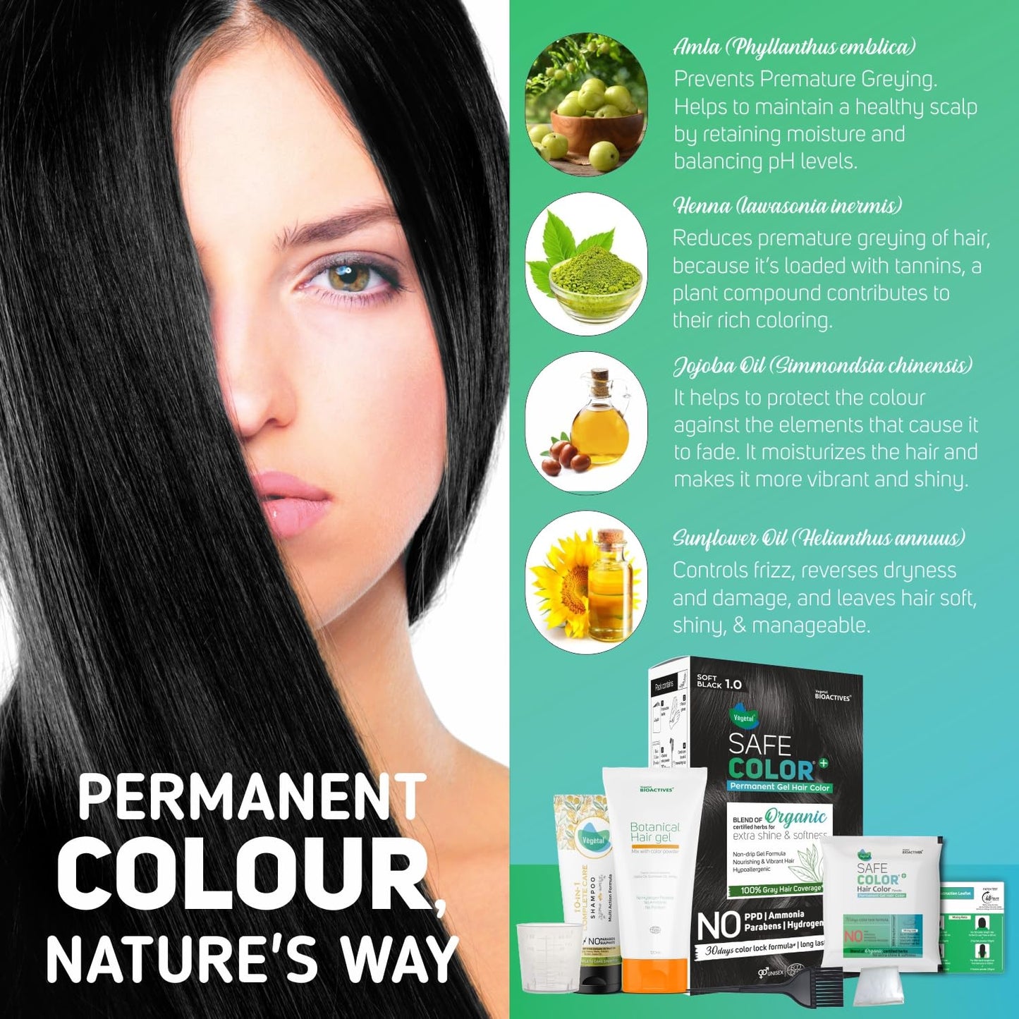 Vegetal Permanent Hair Dye Gel - Soft Black 1.0, Ammonia & PPD Free Hair Color for Gray Hair, 100% Gray Coverage, 30-Day Color Lock, 6.4 fl oz