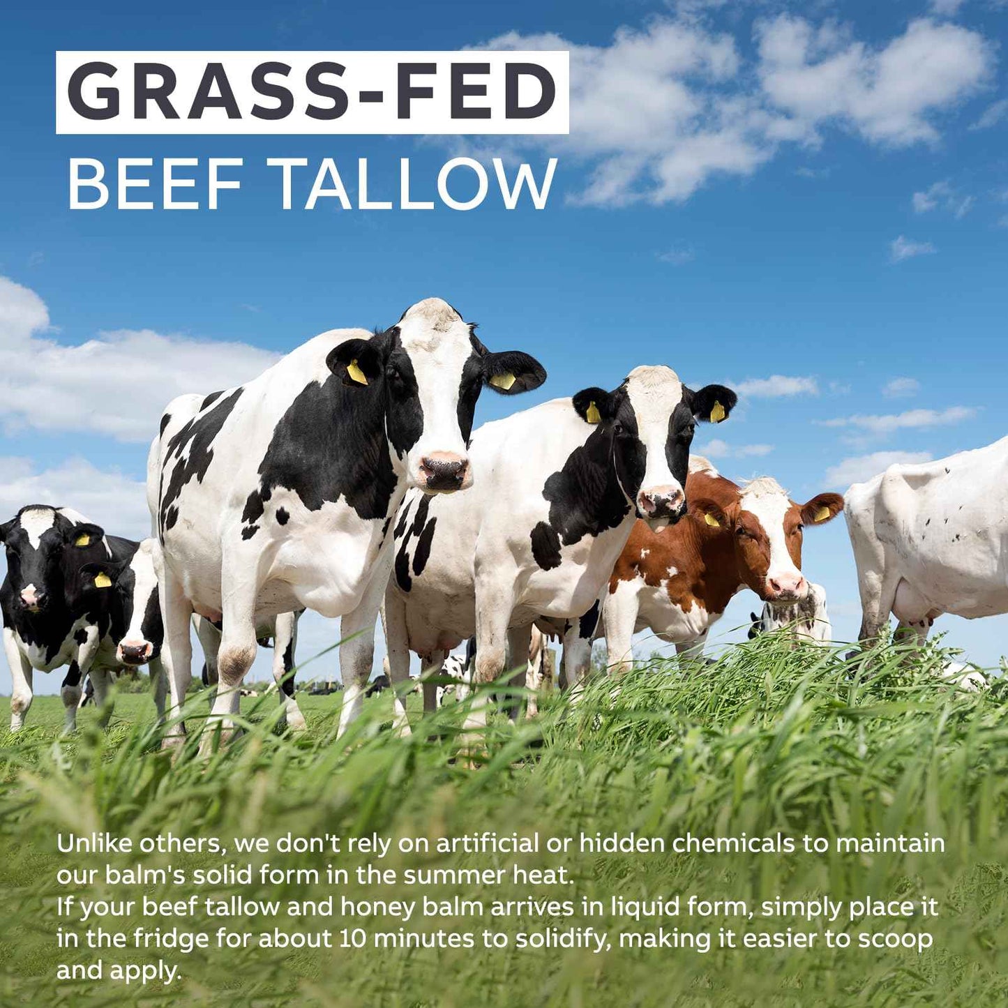 Beef Tallow for Skin, Beef Tallow and Honey Balm, Tallow Face Moisturizer Nourishes and Hydrates the Skin, Grass Fed Balm Enriched with Raw Wild Honey 60g