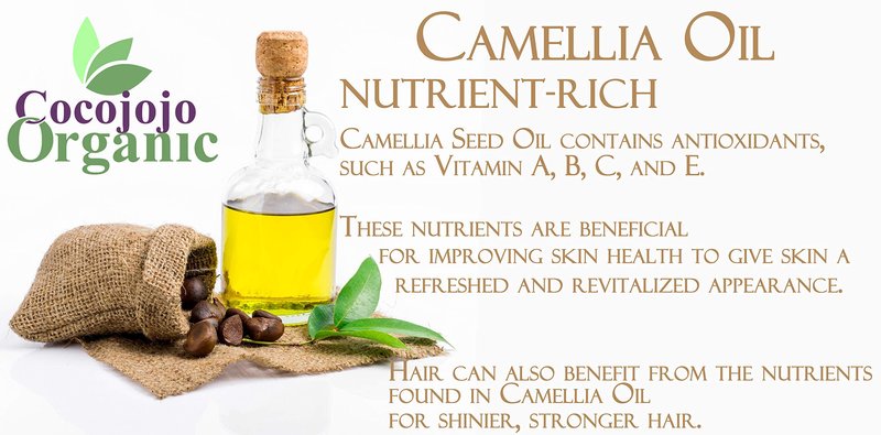 Dr Joe Lab Japanese Camellia Seed Oil - Pure, Unrefined, Cold Pressed, Non-GMO Bulk Carrier - 32 oz - for Skin, Hair, Nails, Body, Facial Hair - Hydrating Moisturizing Vegan - Packaging May Vary