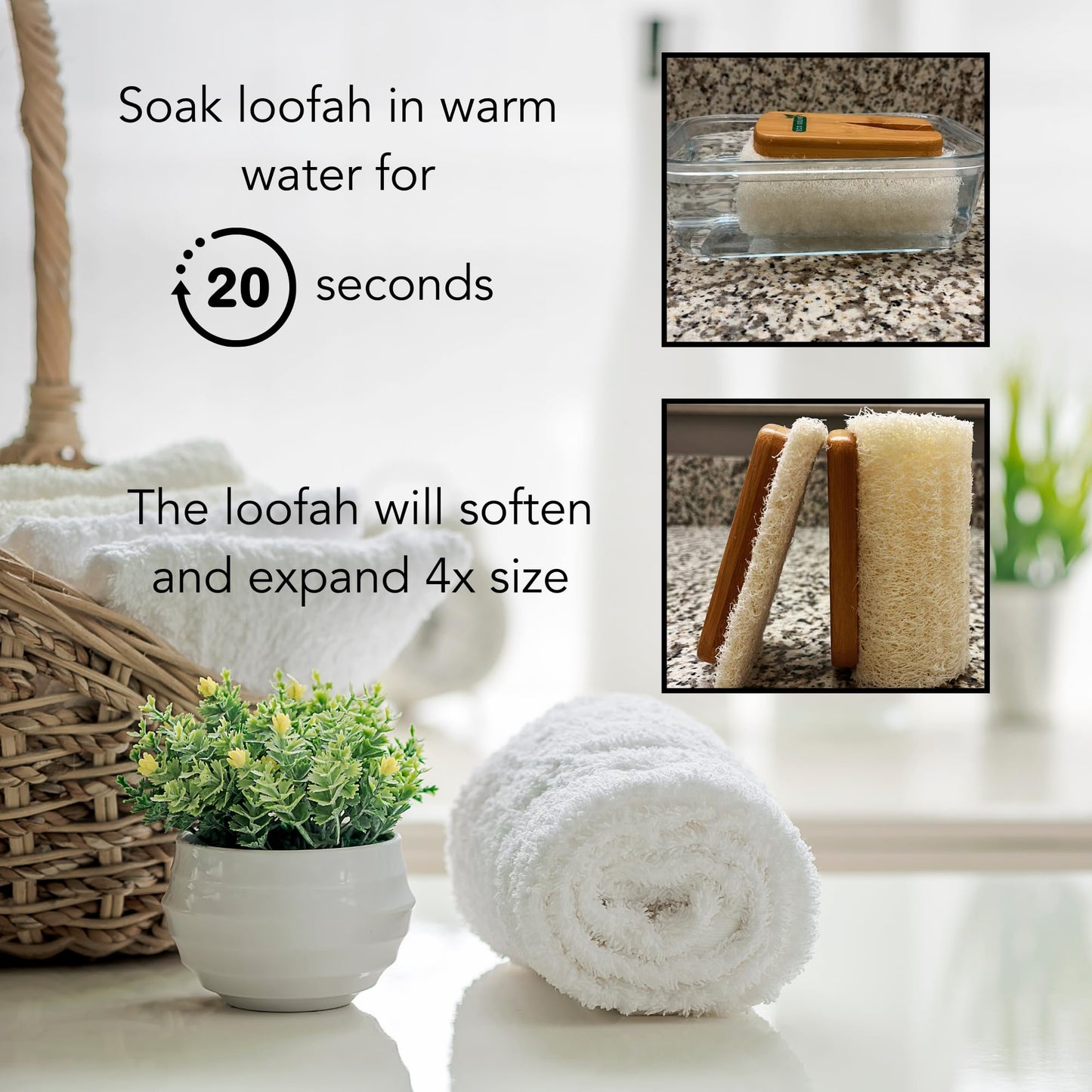 Eco Solve Natural Loofah Shower Scrubber w/Removable Bamboo Handle, Gentle Exfoliation, Long-Ergonomic Handle w/Hemp Rope Grip, Extra Loofah Included for Close Washing, Plastic-Free, Eco-Friendly