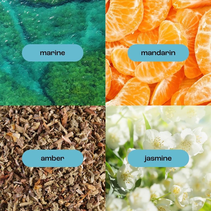 Natural Inspirations Sea Salt Citrus Moisturizing Hand + Face Wash 12oz