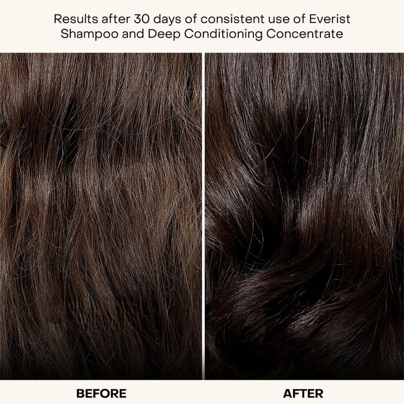 Everist Deep Conditioning Concentrate – 2-in-1 Daily Conditioner & Mask for Dry, Damaged, Frizzy Hair – Glycerin, Aloe Vera, Pumpkin Seed & Baobab Seed Oil – Vegan, Plant-Based - 3.4 fl oz