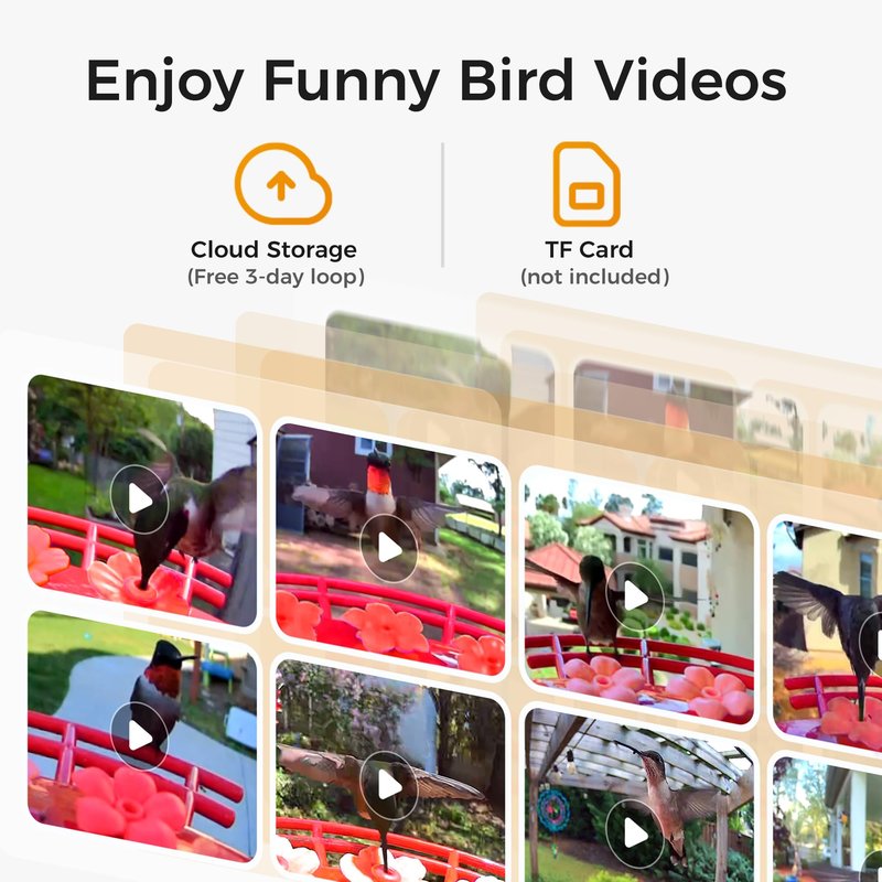 TT Nature Hummingbird Feeder with Camera Solar Powered, AI Identify Cloud Storage Instant Notification, CCPA Data Protection, Outdoor Hanging, Christmas Limited Edition