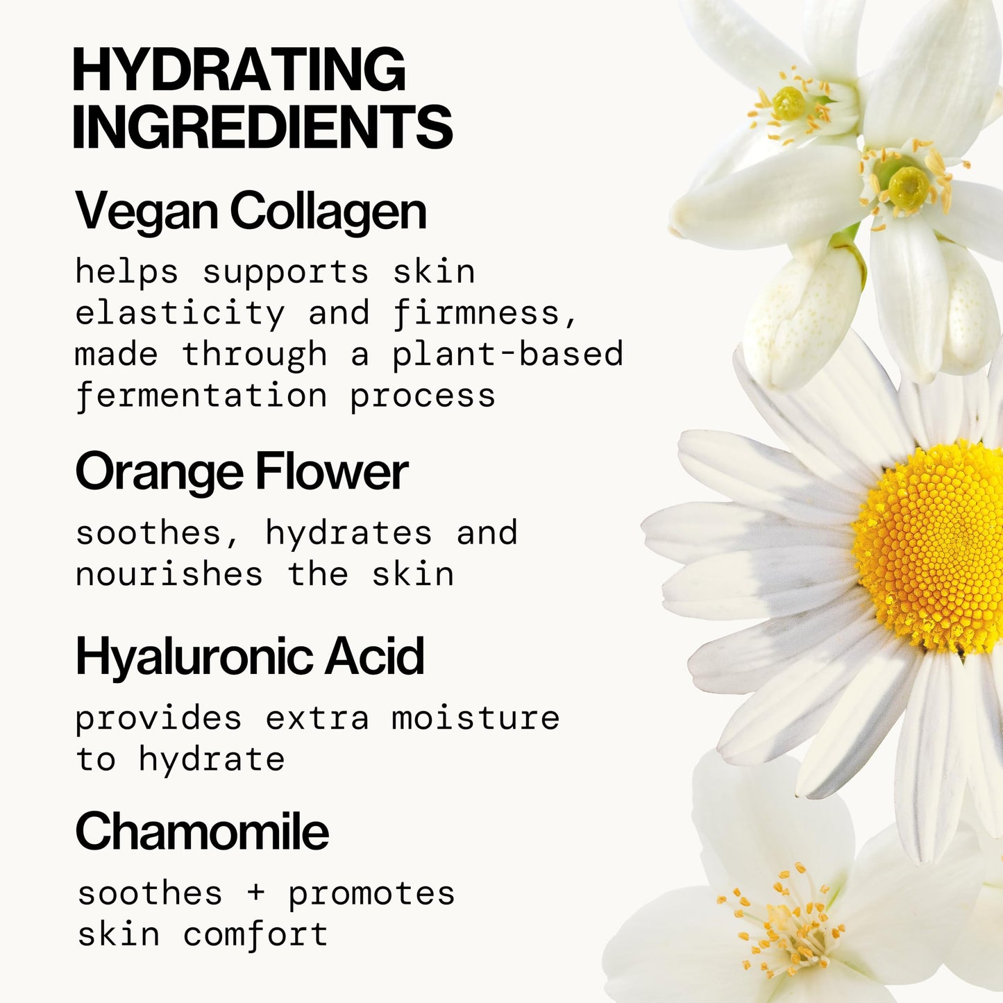 Pacifica Vegan Collagen Hydrating Milk Tonic – Alcohol-Free Milky Toner & Essence Moisturizing Vegan Collagen Face Tonic w/Hyaluronic Acid, Chamomile Jasmine All Skin Types Vegan Dermatologist Tested