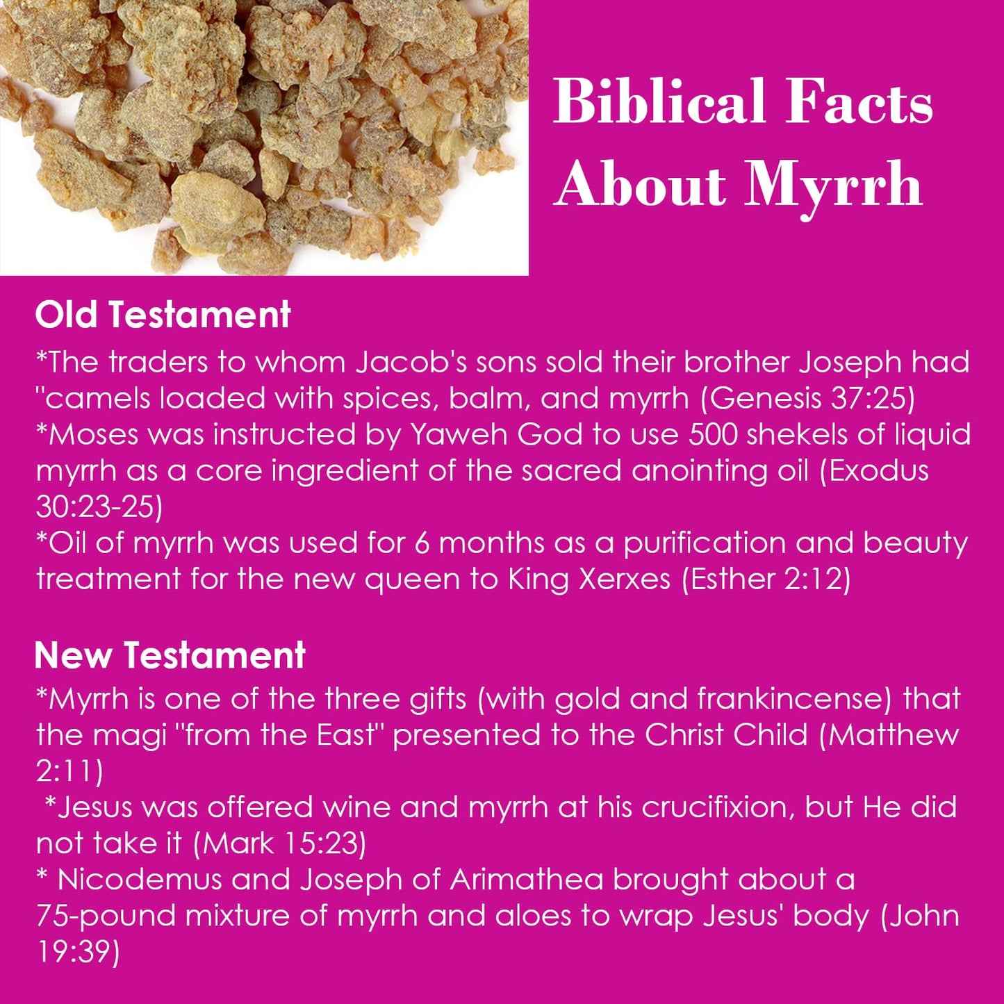 BIBLE N Beautyoils Queen Esther Myrrh Beauty Face Oil, Myrrh-Infused Skincare Essential Oils, Rosehip, Argan, Seabuckthorn, Pomegranate Seed Face Oil for Radiant Skin, 1.0 Fl Oz (Bulgarian Rose)
