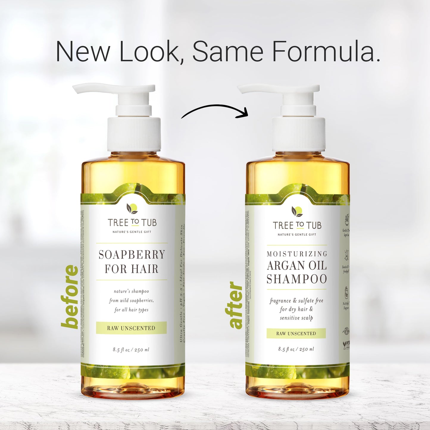 Tree To Tub Fragrance Free Shampoo for Dry & Sensitive Scalp - Gentle Unscented Hydrating Hair Shampoo for Women & Men, Moisturizing Sulfate Free Shampoo w/Organic Argan Oil, All Natural Soapberry
