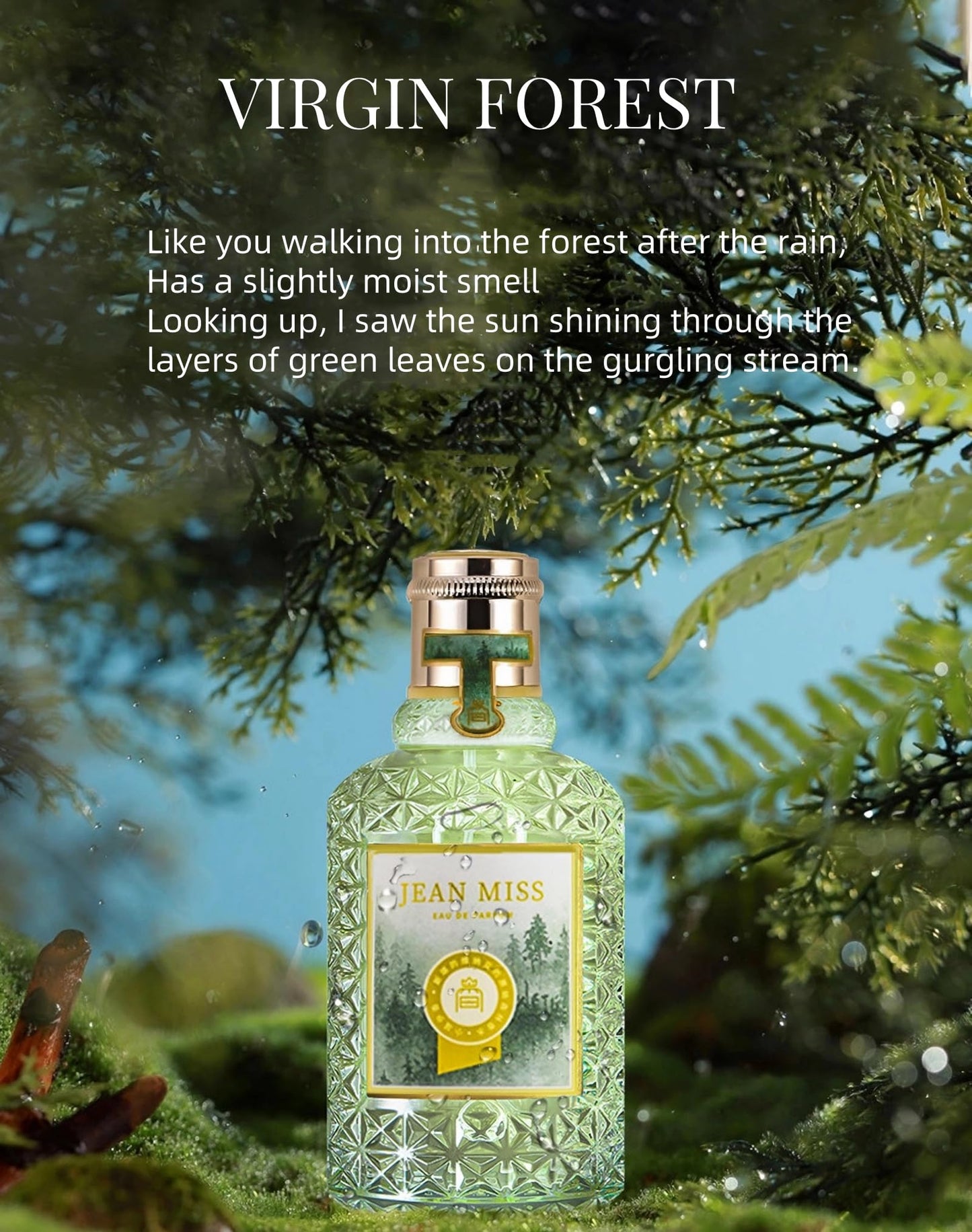 New Cover Floral & Woodsy Perfume for Women – Long-Lasting Eau de Parfum with Citrus, Fig & Moss Notes | Fresh Rainforest Scent, Day-to-Night Fragrance, Giftable Luxury