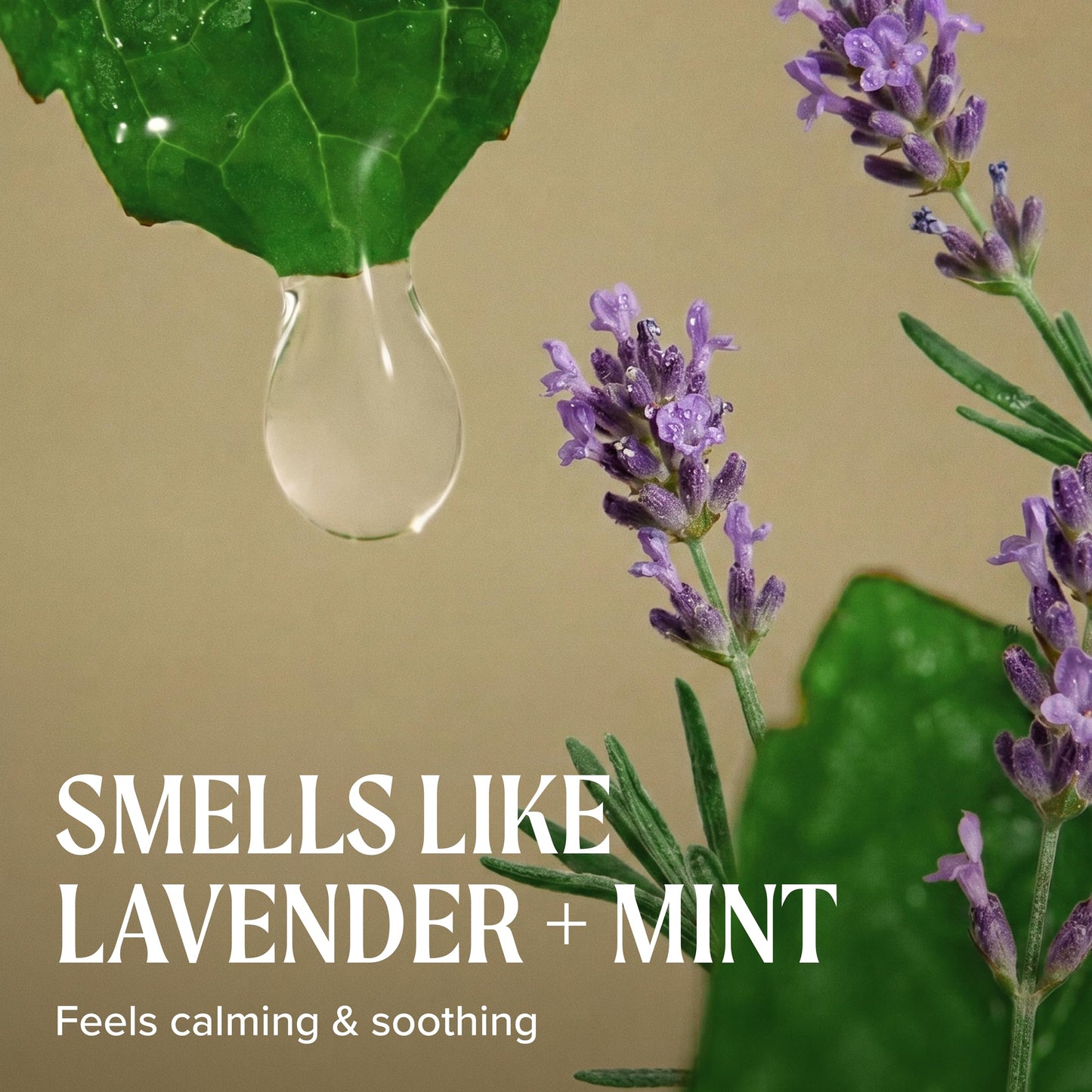 Tea Tree Lavender Mint Curl Refresh Foam, Hair Mousse, For Coarse, Curly + Dry Hair, 6.8 fl. oz.