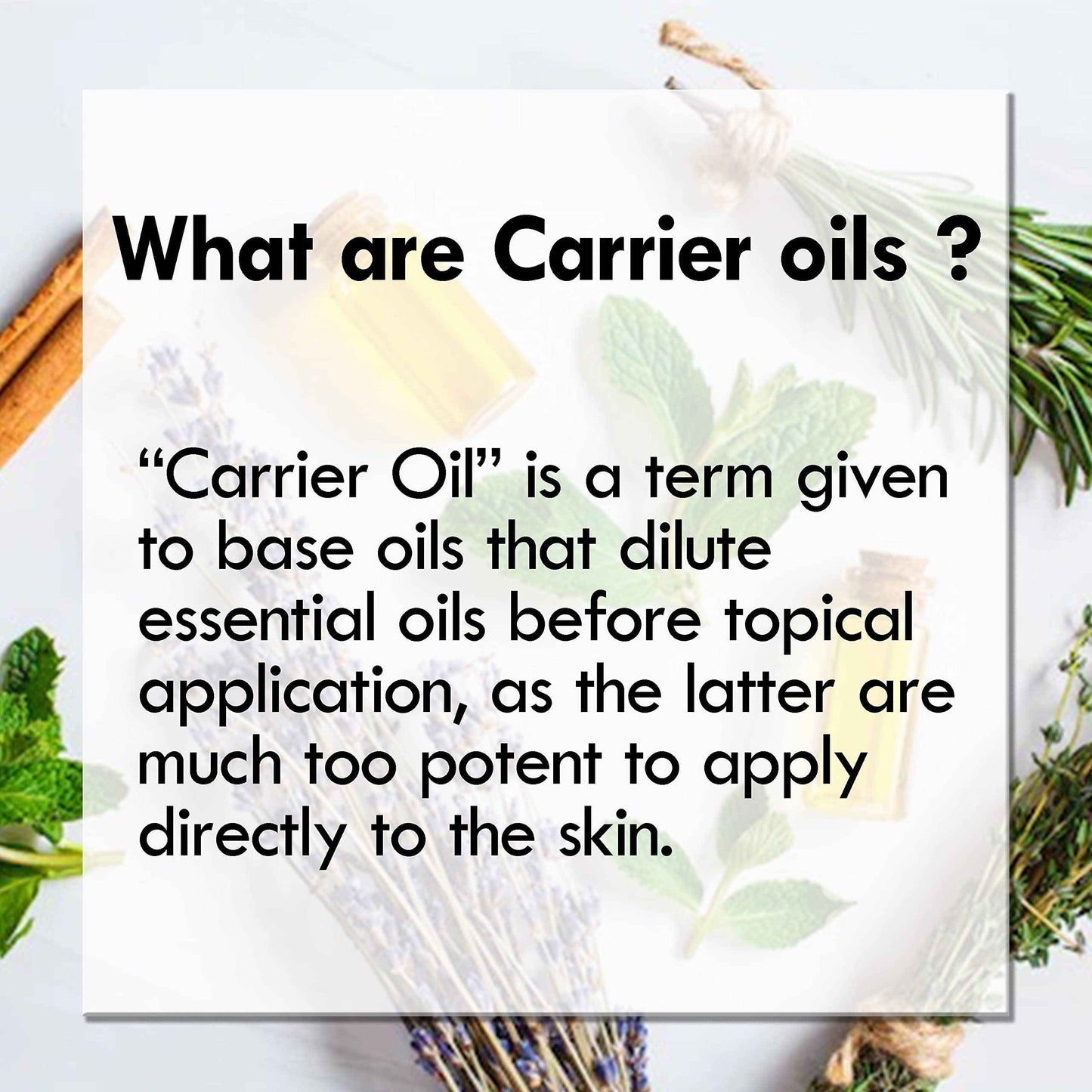 dève herbes Bhringraj Oil (Eclipta alba) with Glass Dropper | Infused | Pure | Non-Sticky | Lightweight | For Facial Care | Men & Women | 100ml (3.38 oz)