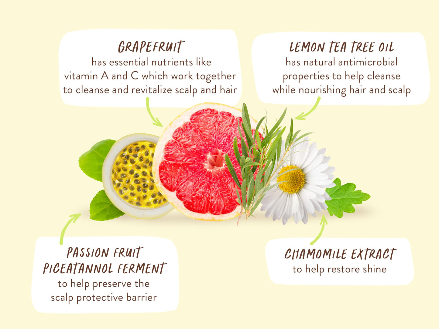 Babo Botanicals Purifying Lemon Tea Tree & Grapefruit Shampoo & Conditioner – For Flat, Oily Prone Hair - Passion Fruit Ferment for scalp - Water-Resistant Carton w. 80% Less Plastic – Vegan