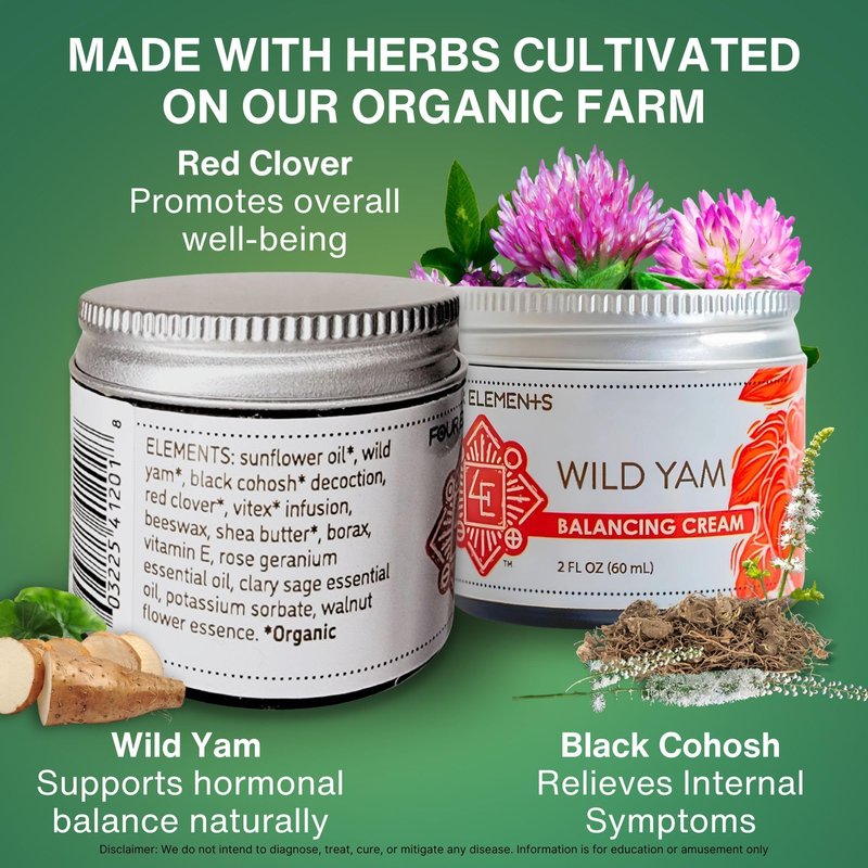 Four Elements 4E Wild Yam Balancing Cream, 2 OZ - 1st Place Winner at the 2023 International Herb Symposium for Creams and Salves! Proudly Farmed, Crafted and Packaged in WI, USA.