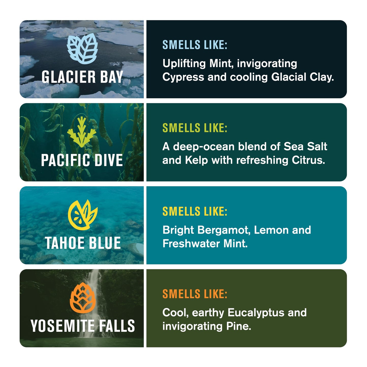 Every Man Jack Cold Plunge Mens Bar Soap Set - Deeply Cleans, Hydrates with Naturally Derived Ingredients - Iconic Cold Water Scents - Pacific Dive, Glacier Bay, Tahoe Blue, Yosemite Falls, 4 Bar Set