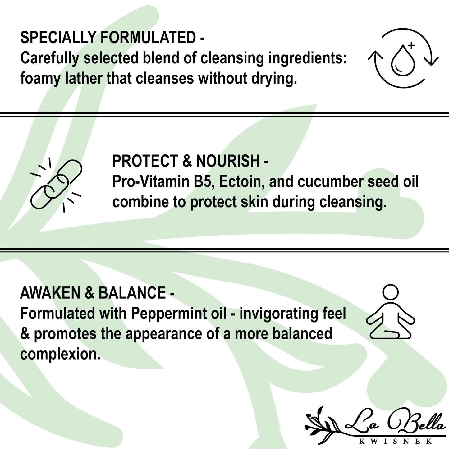 La Bella Kwisnek Foaming Cleanser – Mild Purifying Cleanser, with Ectoin and Peppermint Oil
