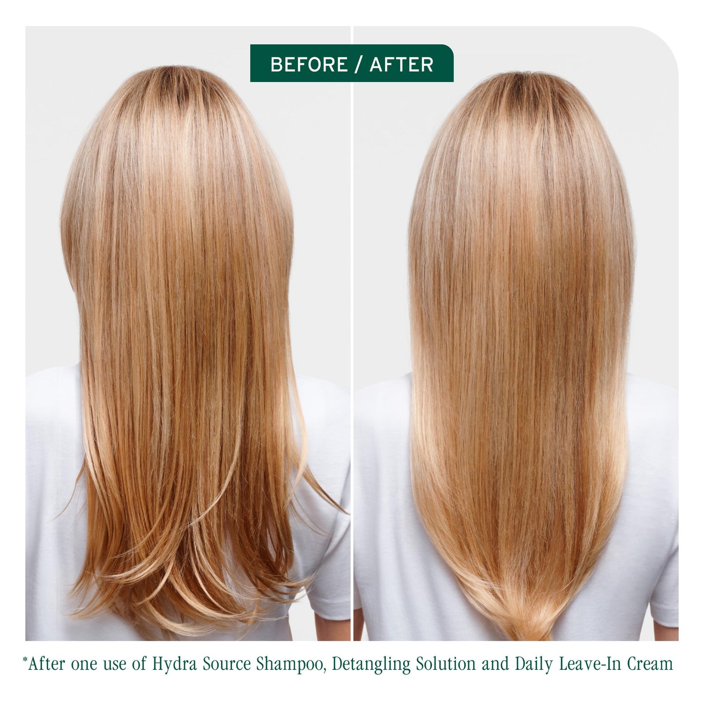 Biolage Hydra Source Detangling Solution - Conditions, Instantly Detangles & Controls Static, For Dry Hair, With Micro-Filtered Aloe Vera & Fermented Hyaluronic Acid, 13.5 Fl Oz, Packaging may vary