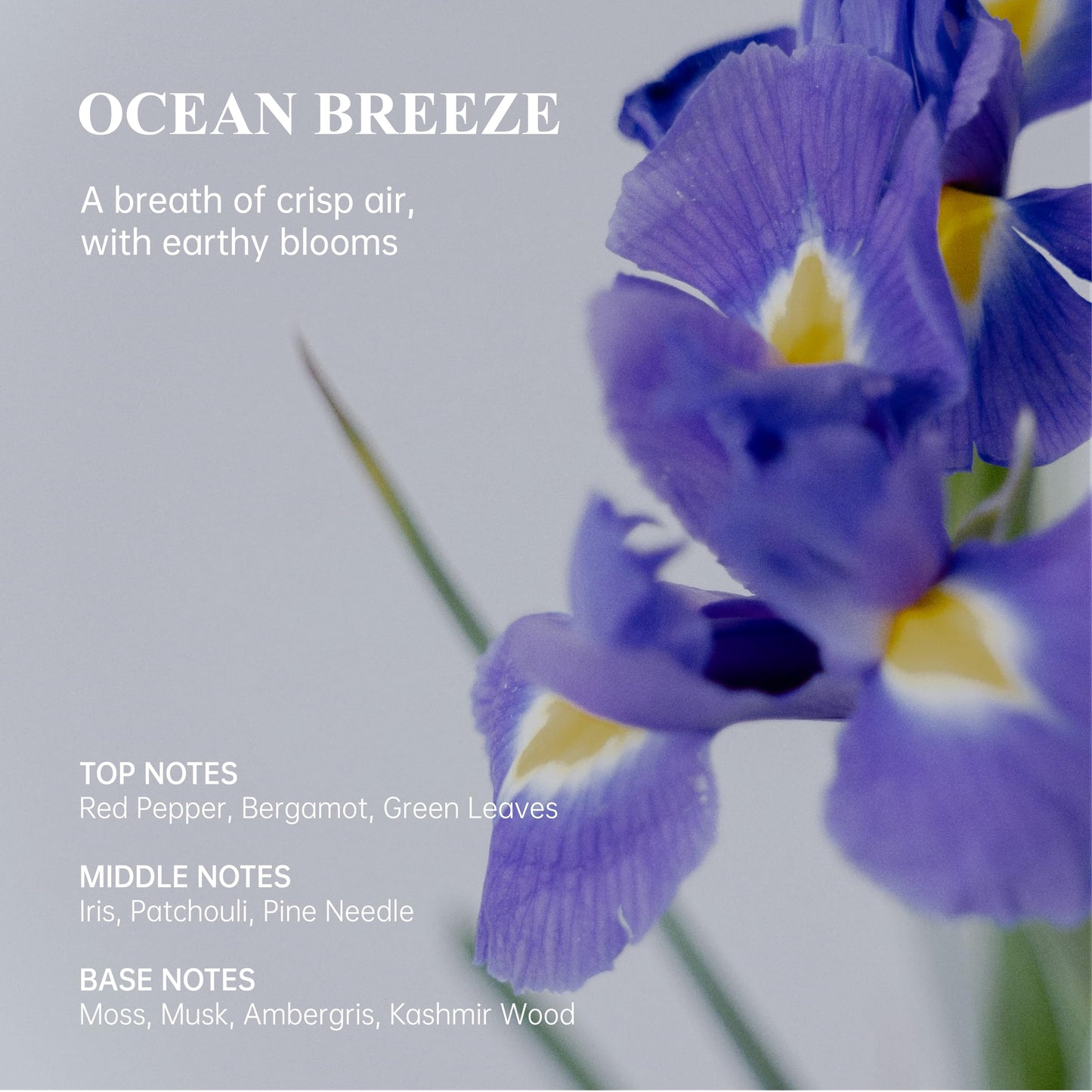 Atom Fresh Ocean Breeze Body Wash for Women, 16.94 fl oz Hydrating Shower Gel with Soapberry and Oat Extract, Daily Deep Cleansing for Sensitive Skin