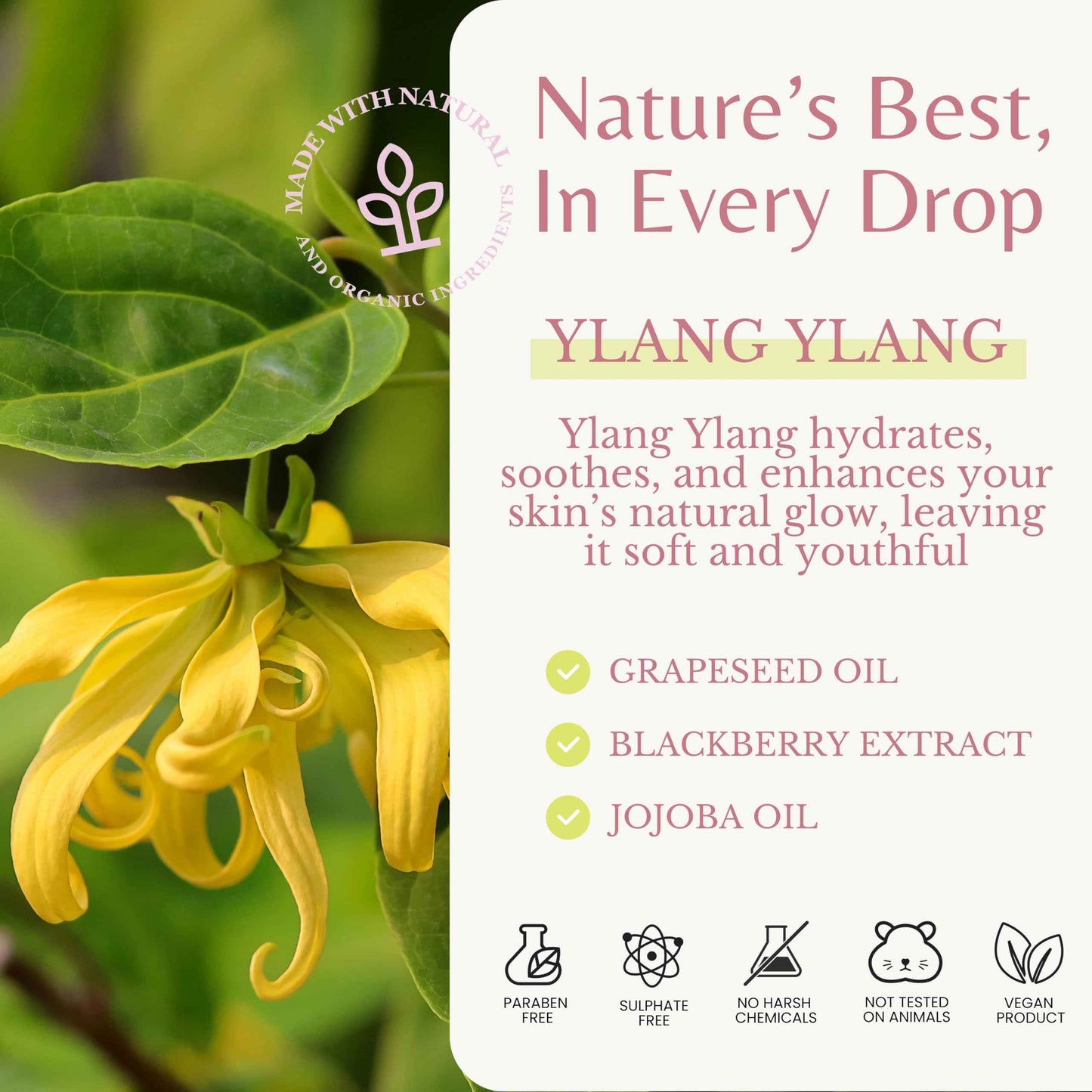 EDENIKA BOTANICALS Ylang Ylang Body Wash, Cleanses, Nourishes & Hydrates, Gentle Shower Gel for Dry and Sensitive Skin, Women & Men, Organic & Natural, 16 fl oz, 2-Pack