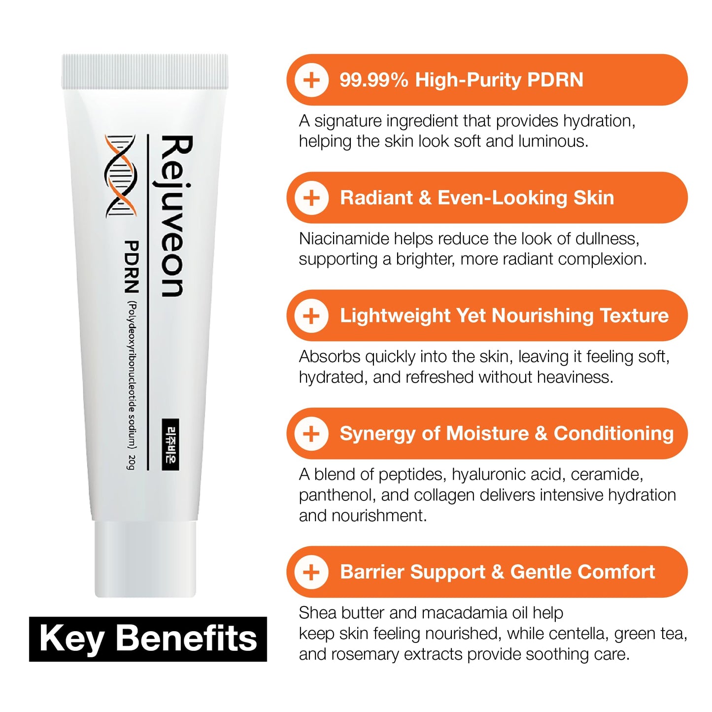 Rejuveon PDRN 1000 Plus Cream (Polydeoxyribonucleotide sodium) 20g - Made in Korea