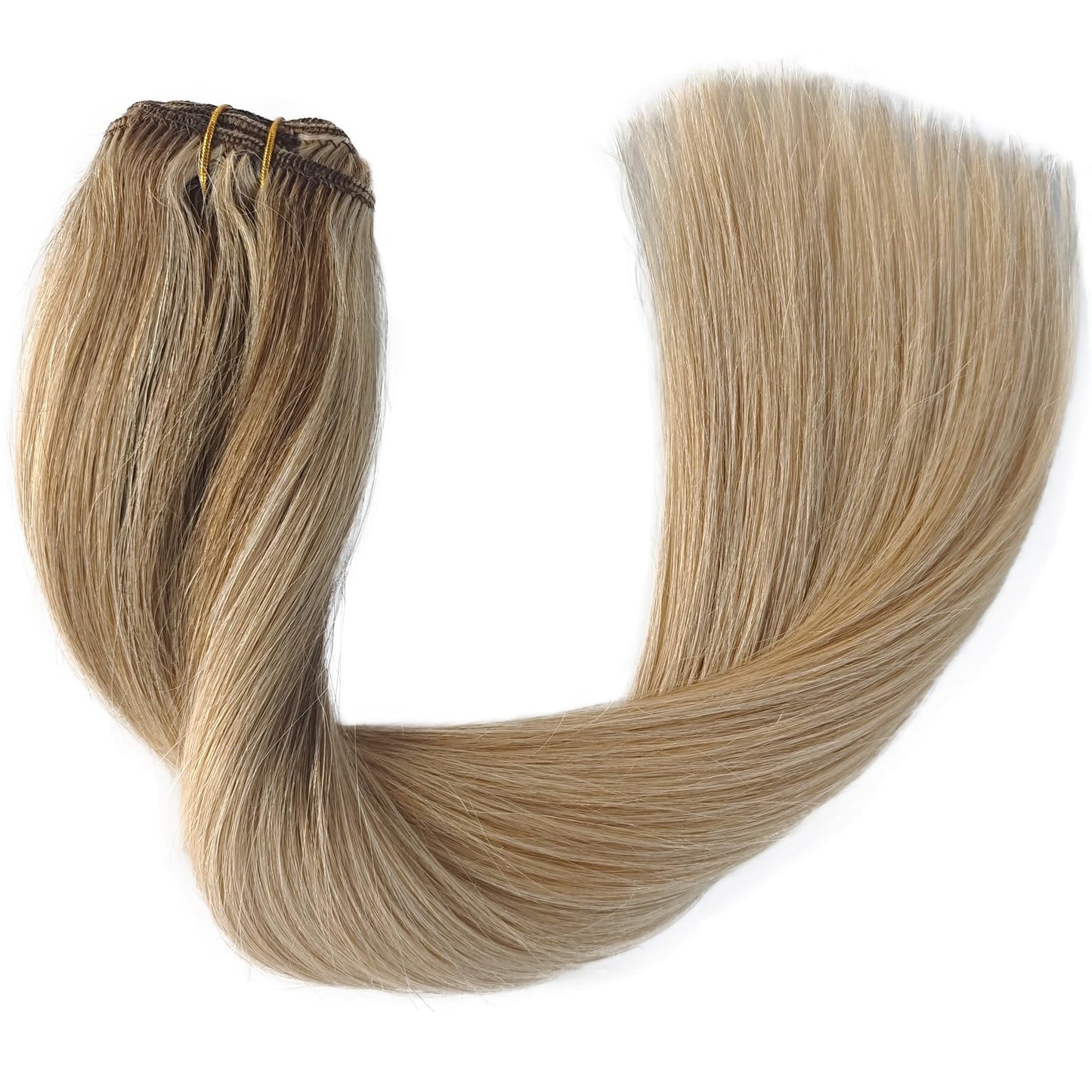 Human Hair Extensions Clip in Golden Blonde Highlights Medium Blonde Clip in Hair Extensions Real Human Hair 5 Pieces 14 Inch Remy Hair Seamless Clip ins Extensions Human Hair Silky Straight 70g