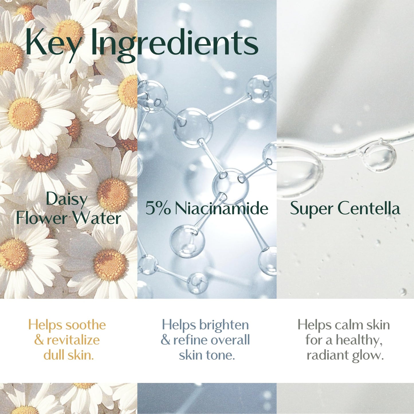 hersteller Little Drops Hi-light Ampoule 43ml, 1.5 Fl Oz Brightening Toning Moisturizing Calming Daisy Flower Extract Vegan Facial Skin Korean Skincare