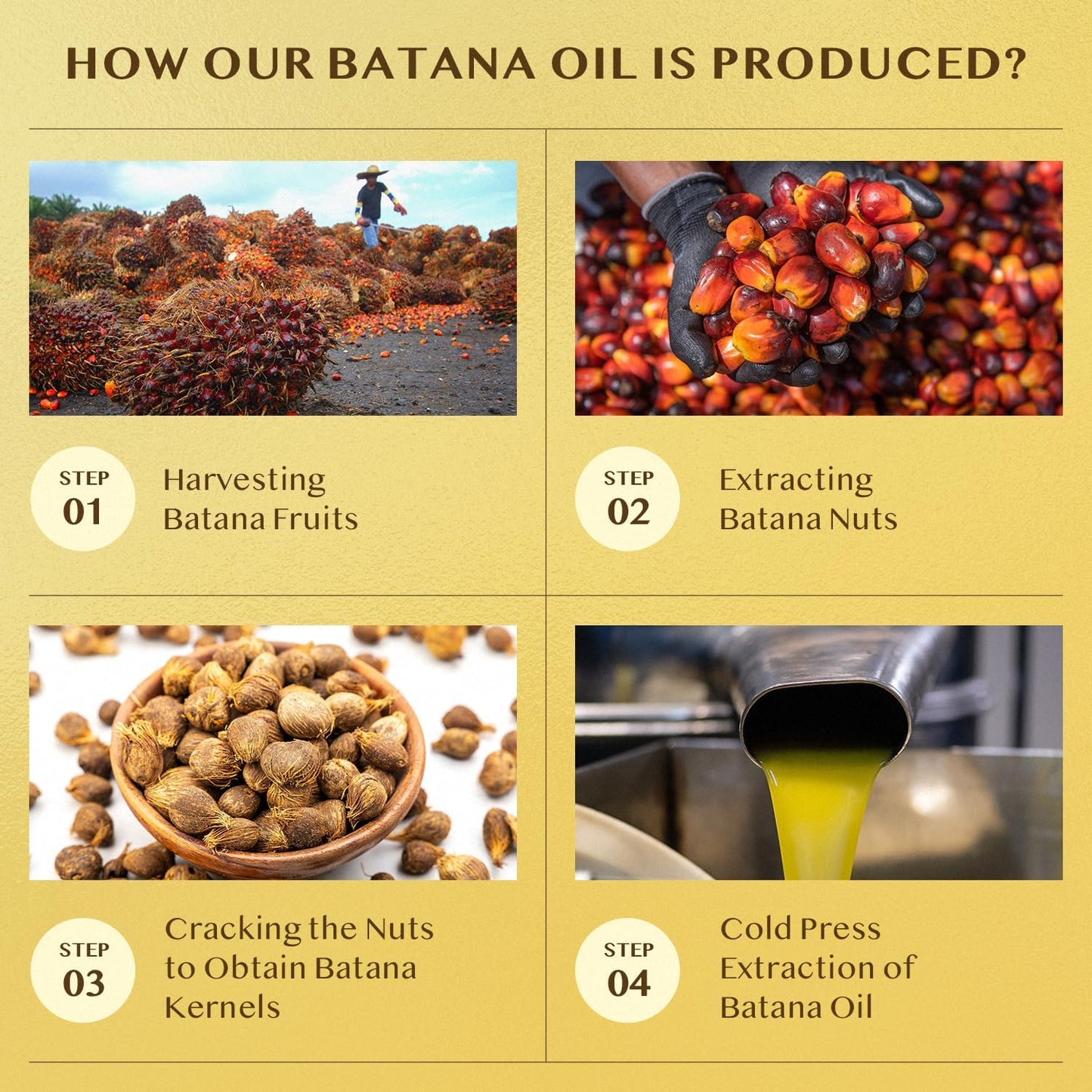 Jardient Raw Batana Oil for Hair Growth: Dr Sebi Organic Batana Oil from Honduras - 100% Pure & Natural - Promotes Thicker & Stronger Hair for Men & Women (4 OZ)