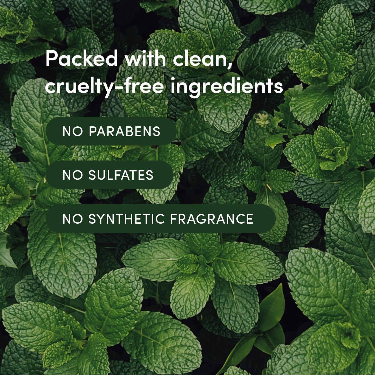 LATHER - Mint Thyme Crème Rinse, 8 fl oz - Hair Conditioner - Lightweight Detangler - All Hair Types - Avocado Oil, Vitamins & Protein - Sensitive Skin Safe - Vegan & Cruelty Free - Beauty & Hair Care