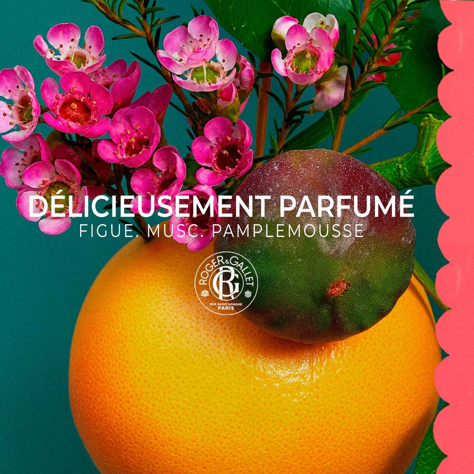 ROGER & GALLET| Body lotion for Women | FIGUIER 250 ml Bottle