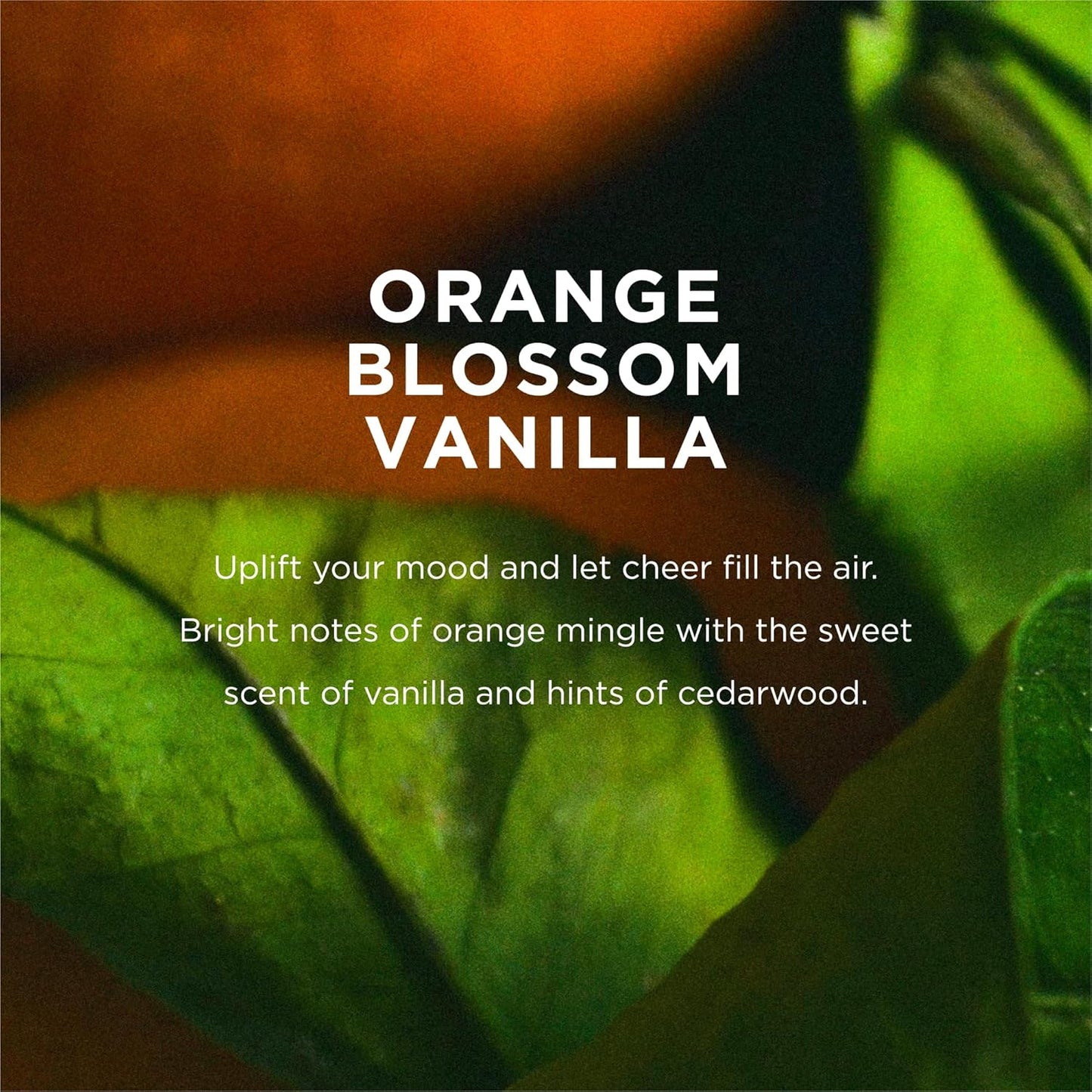 EO Liquid Hand Soap - Orange Blossom & Vanilla - Essential Oils - 12 oz (Pack of 3)