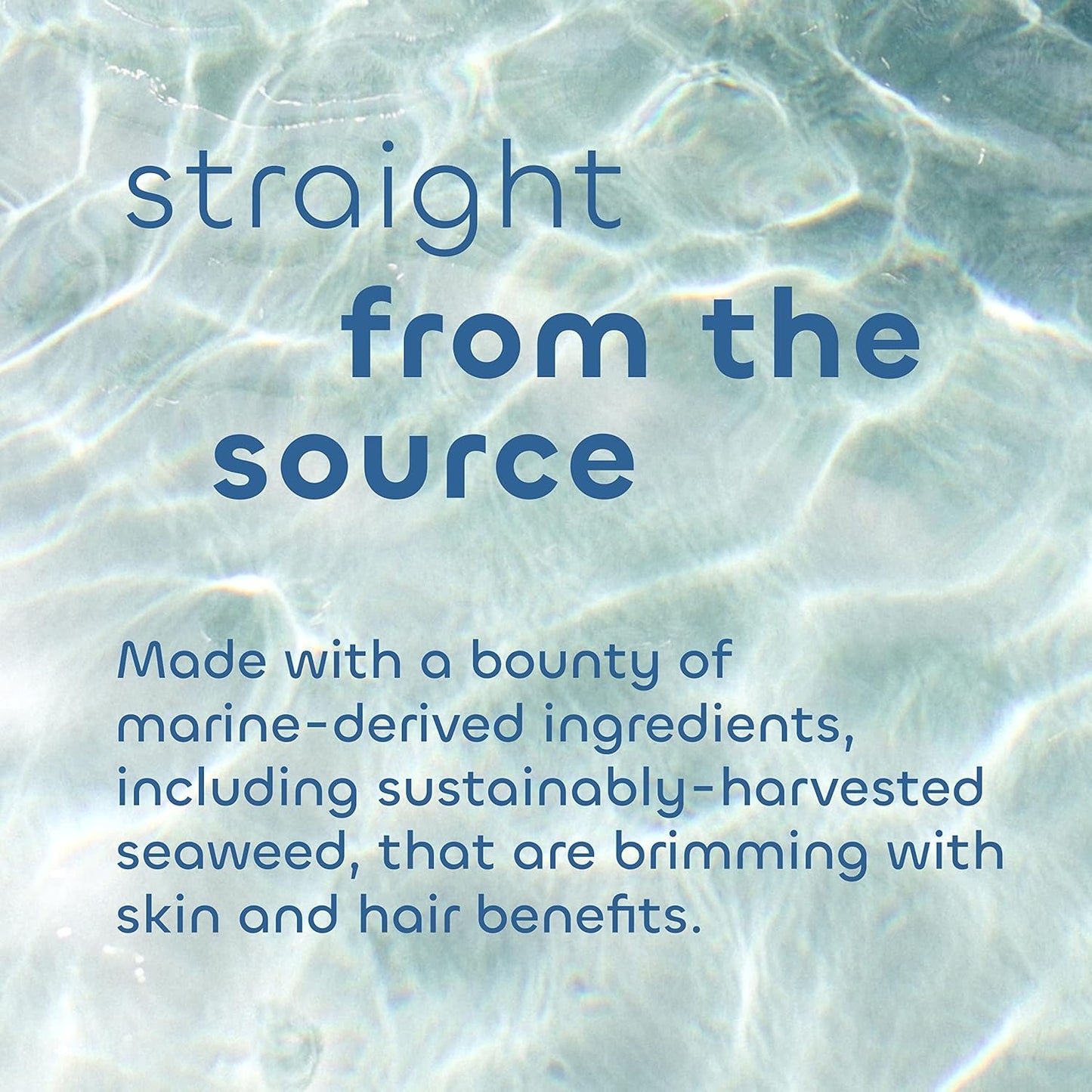 Seaweed Bath Co. Body Wash & Cream Duo - Eucalyptus Peppermint Scent | 12oz & 6oz Sizes