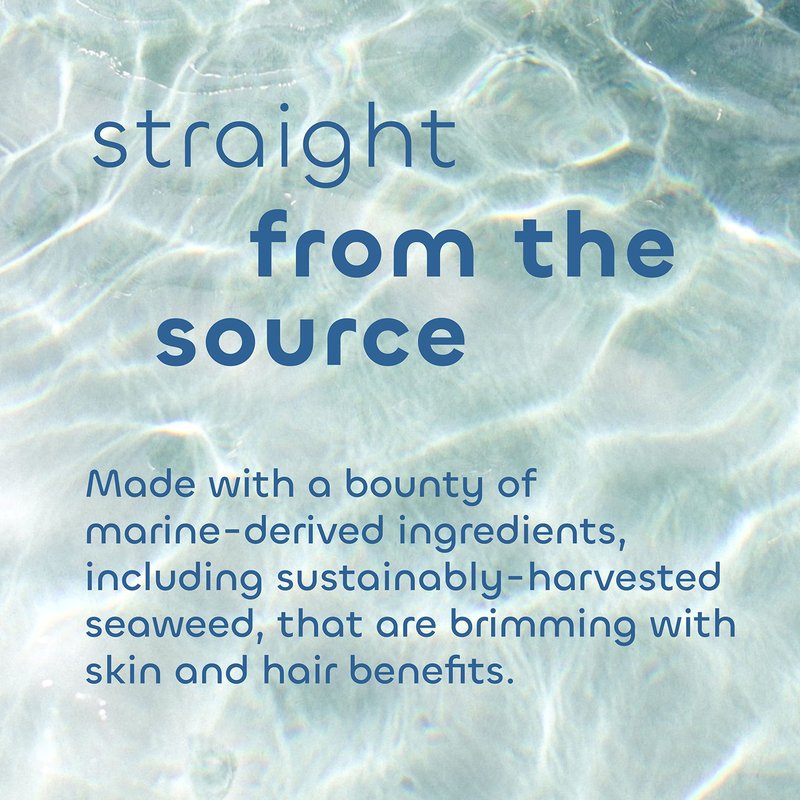 Seaweed Bath Co. Smooth Shampoo and Conditioner Set - Citrus Vanilla - Hydrate With Aloe, Borage Oil, and Broccoli Seed Oil for Sleek, Shiny Hair - 12 oz (Pack of 2)
