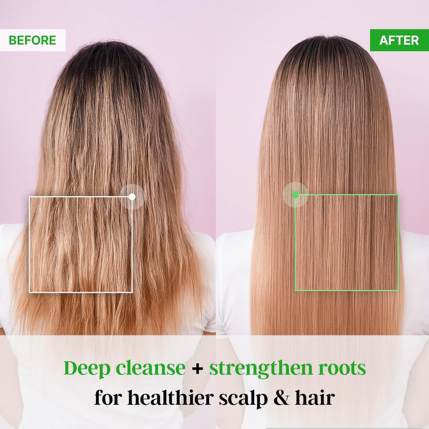 Premium TS Shampoo for Thinning Hair & Hair Loss Care(17.6 Fl Oz) | Best Korea Shampoo | LAVENDER Scent with Essential Oil & Biotin & Natural Ingredients | Men & Women