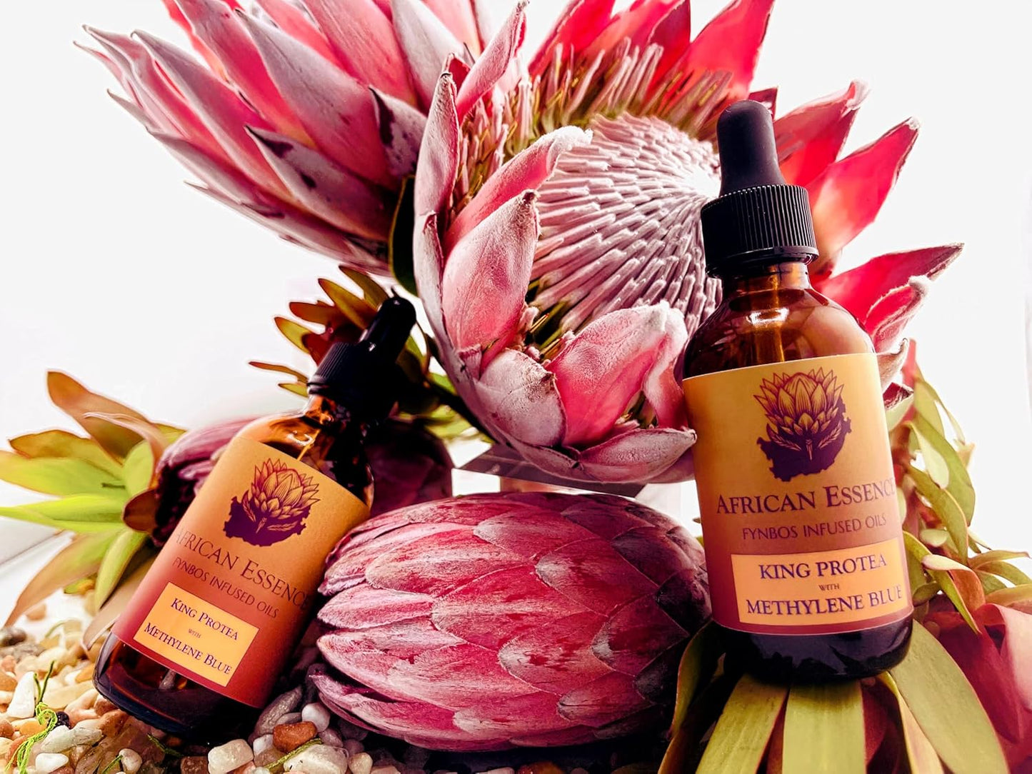 Methylene Blue Skin Serum - Hydrating Glass Skin Serum with African Protea | Age-Defying Moisturizer