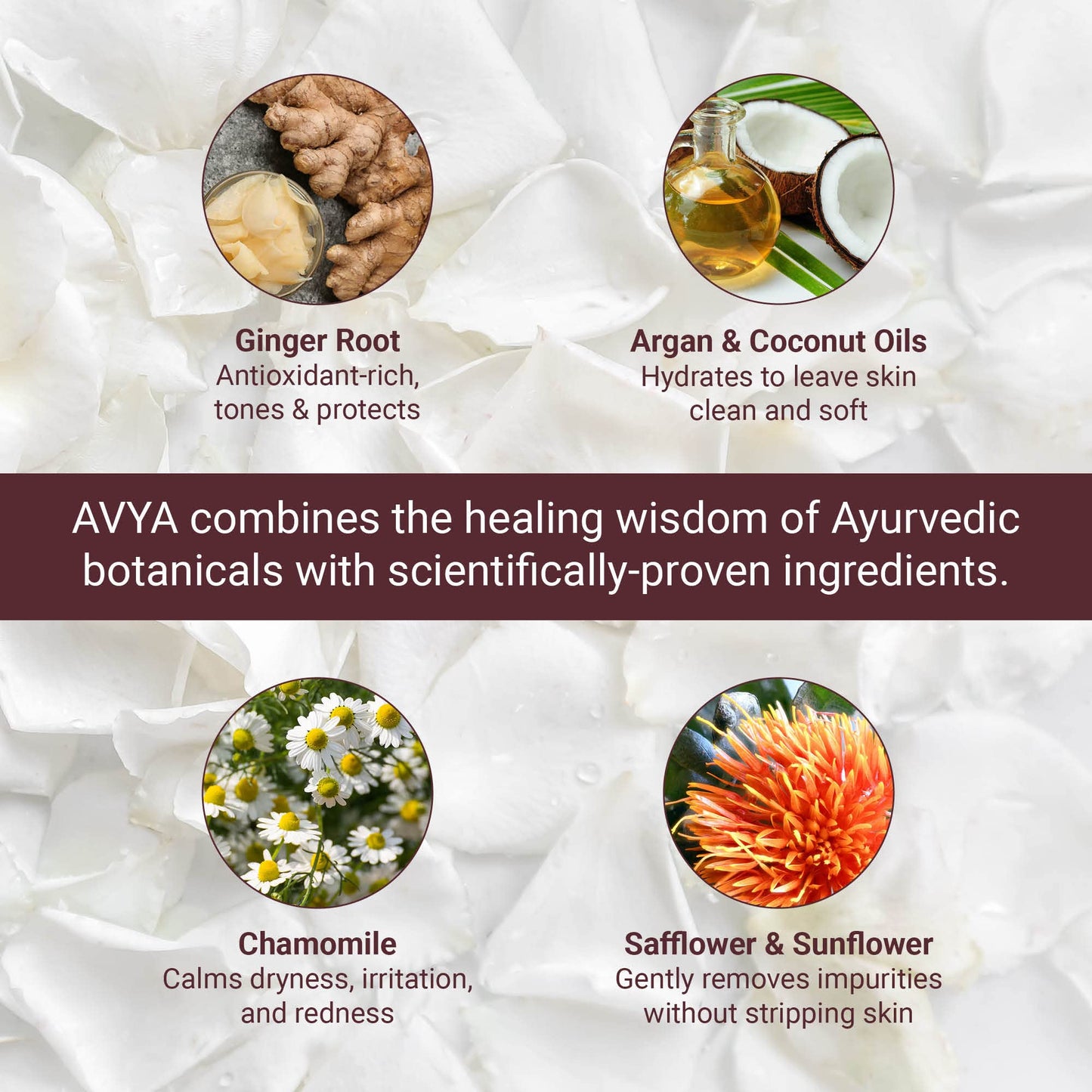 AVYA Hydroveda Essentials Daily Milk Cleanser (8.2oz) - Advanced Ayurvedic Skincare/Removes Makeup and Impurities for Natural Radiance/Ginger Blend Great for Sensitive Skin