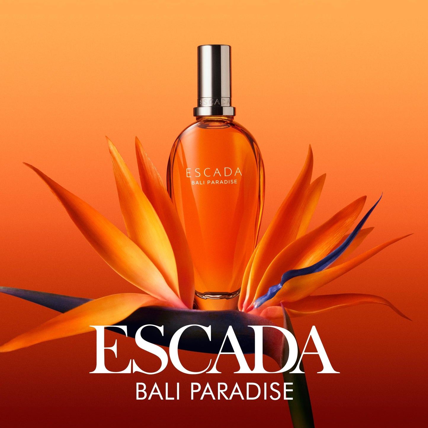 Escada Bali Paradise Women's 2-Pc. Eau de Toilette Gift Set